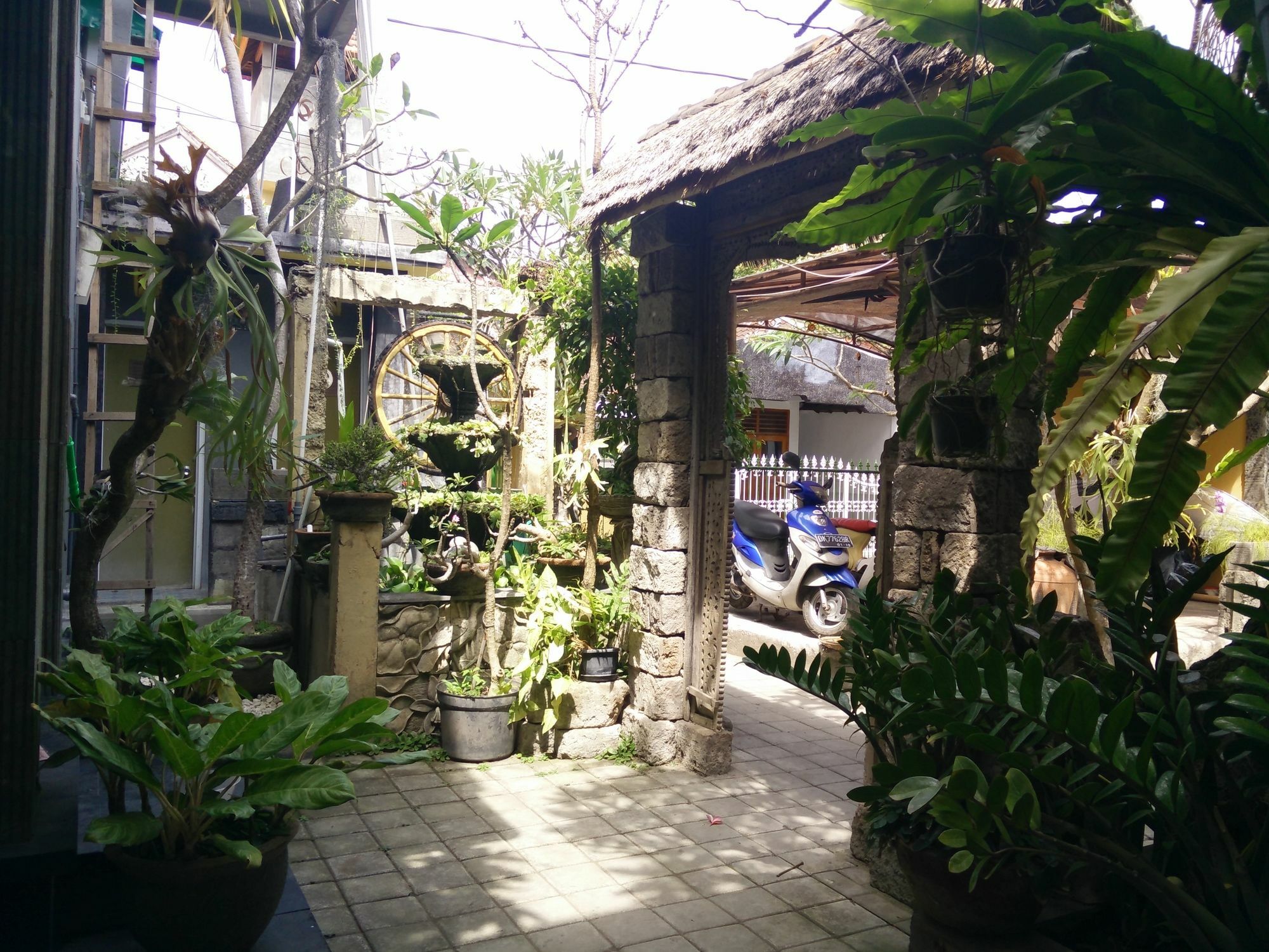 Double N Guesthouse Sanur Buitenkant foto